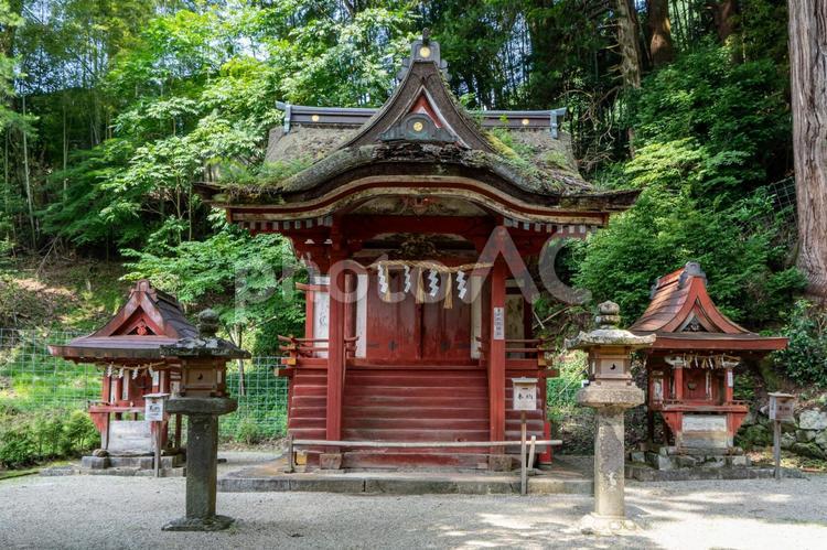 奈良　談山神社　比叡神社 談山神社,談山,神社の写真素材