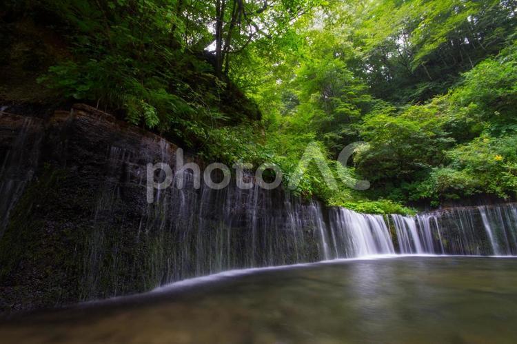白糸の滝　長野県 白糸の滝,滝,長野県の写真素材