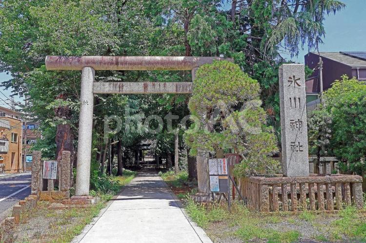 根村氷川神社（板橋） 根村氷川神社,素戔嗚尊,倉稲魂命の写真素材