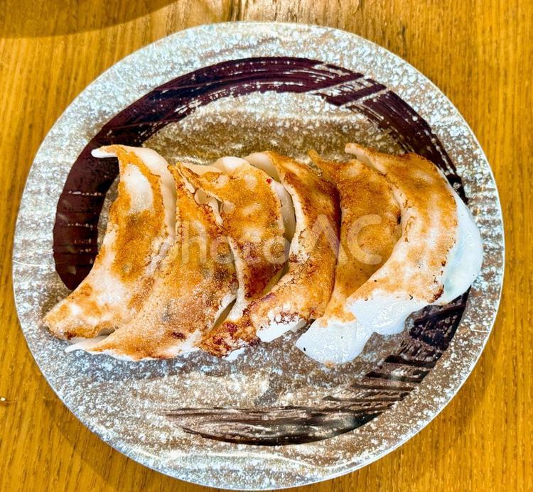 焼き餃子 天心,餃子,中華の写真素材