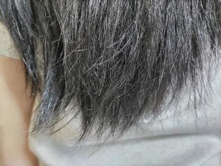 傷んだ毛先 傷んだ毛先の写真