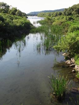 穏やかな川の合流地点の写真