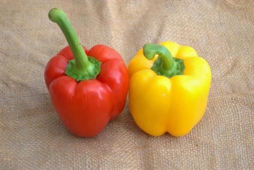 赤と黄色のパプリカ 赤と黄色のパプリカ パプリカ,野菜,赤の写真素材
