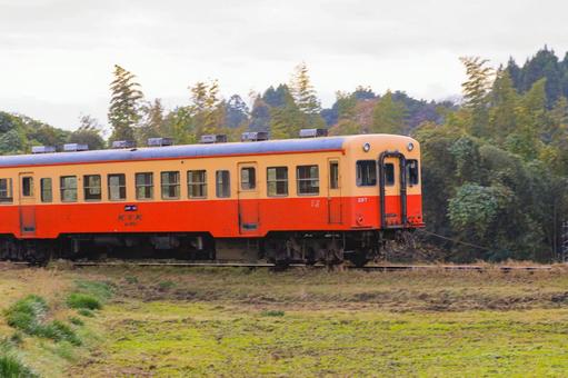 小湊鐵道 小湊鐵道,紅葉,秋の写真素材