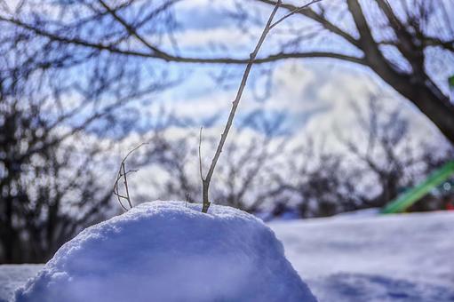 雪の写真
