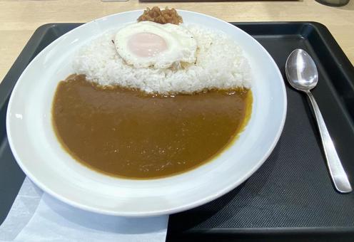 Photo, curry, curry and rice, fried egg, 