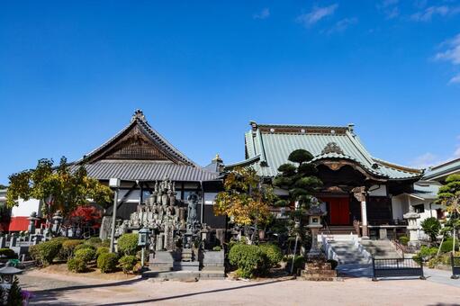 慶巌寺 慶巌寺,本堂,慶巌院本堂の写真素材