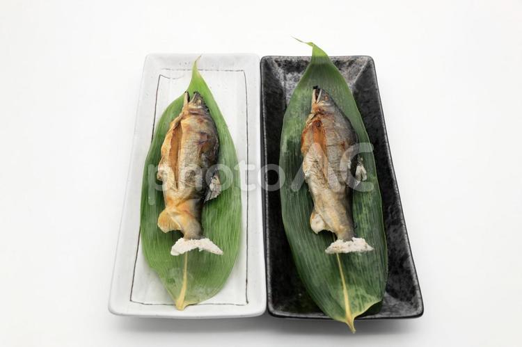 子持ち鮎の塩焼き2尾（山形県白鷹町産） 鮎,アユ,子持ち鮎の写真素材