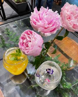 芍薬とお花のカクテル 芍薬とお花のカクテル 芍薬,シャクヤク,しゃくやくの写真素材