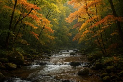 渓流沿いに広がる色づき始めた森の写真