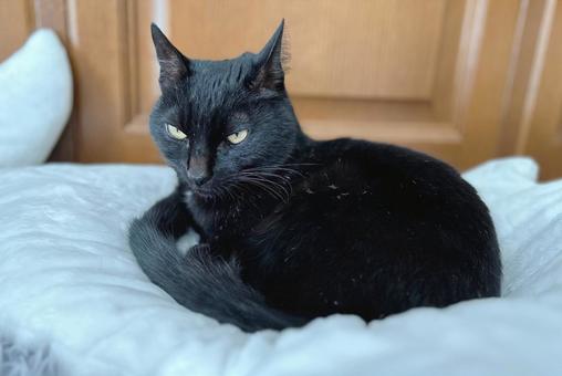 お気に入りの場所 お気に入りの場所の写真