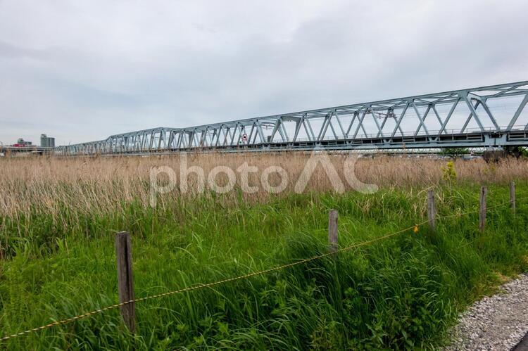 荒川　河川敷 荒川,河川敷,土手の写真素材