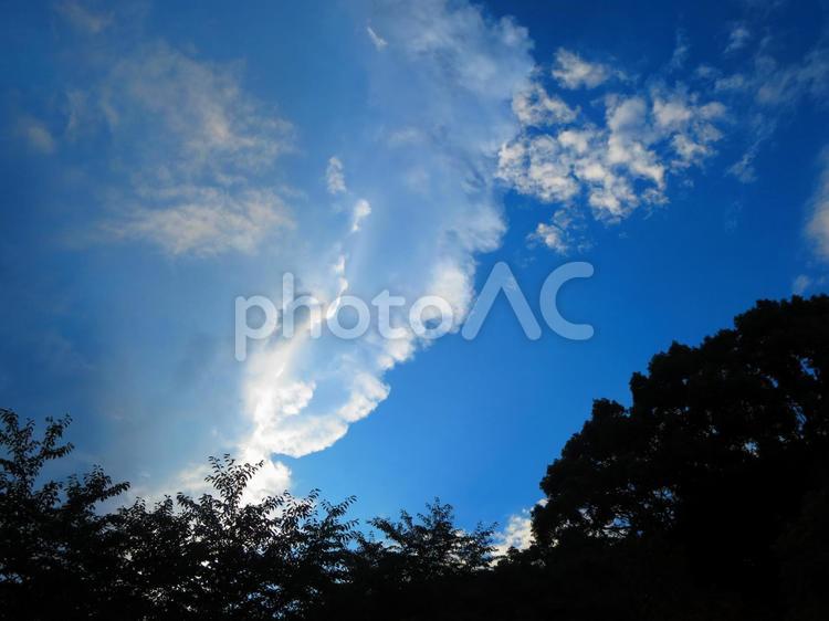 天気の分かれ目 天気,ゲリラ豪雨,夕立の写真素材