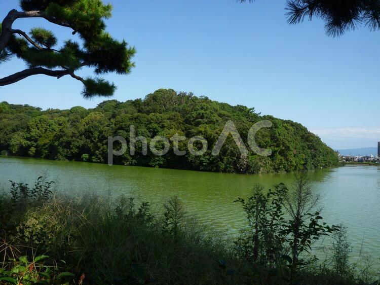 百舌鳥古墳群ー御廟山古墳 百舌鳥古墳,前方後円墳,天皇陵の写真素材