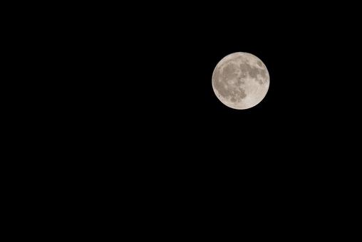 夜空に光る満月 夜空に光る満月の写真