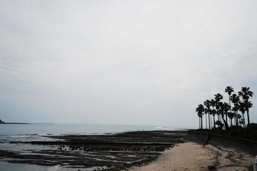 海岸に突き出た鬼の洗濯板2 海岸に突き出た鬼の洗濯板2 鬼の洗濯板,奇岩,海の写真素材