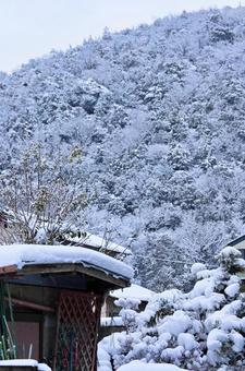 雪景色 雪景色の写真