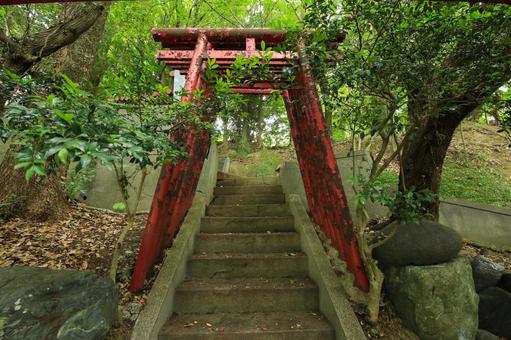 八幡浜市　愛宕山王照院　鳥居と遊歩道 愛宕山王照院,愛宕山,神社の写真素材
