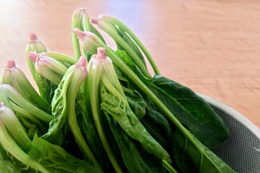 洗ってザルにあげたほうれん草② ほうれん草,素材,野菜の写真素材
