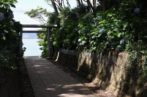 鳥居 鳥居の写真