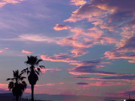 南国の夕暮れ 南国の夕暮れ 夕焼け,綺麗,夕暮れの写真素材