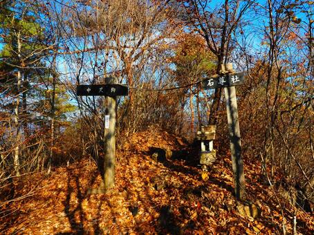 日本百低山・嵩山中天狗山頂 嵩山,中天狗,山頂の写真素材