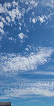 秋の青空 秋の青空の写真
