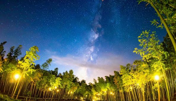 七夕 笹 天の川 七夕 笹 天の川の写真