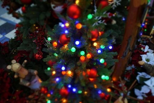 クリスマスツリー クリスマスツリーの写真