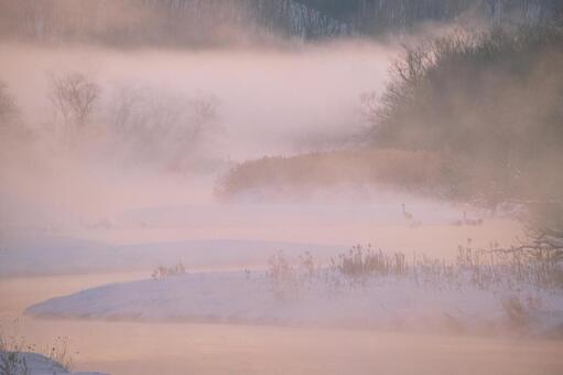 音羽橋 音羽橋,冬,気嵐の写真素材