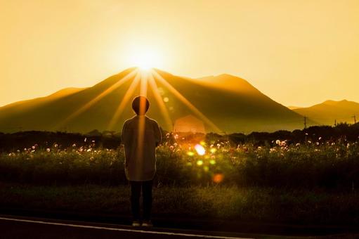 <素材>秋のコスモス畑の日暮れと女性 <素材>秋のコスモス畑の日暮れと女性の写真