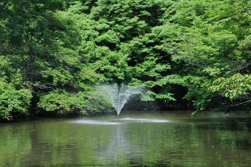 和田堀池の噴水 和田堀池の噴水の写真