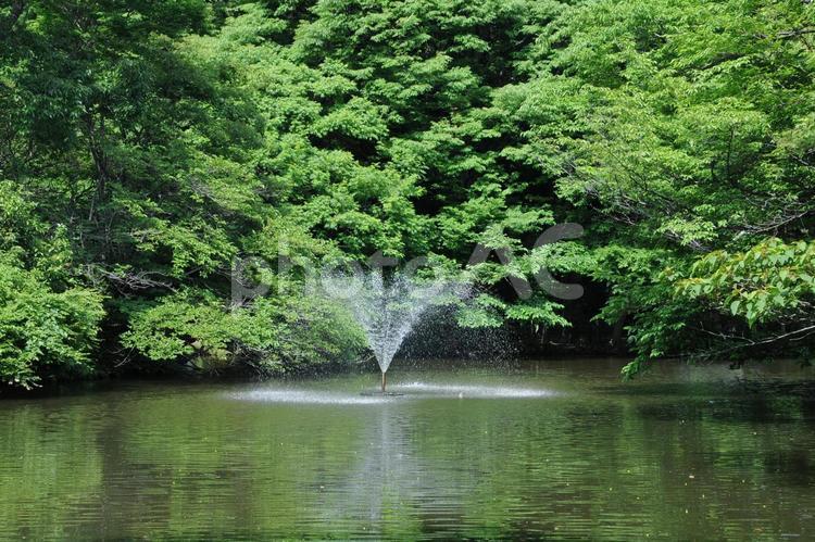 和田堀池の噴水 和田堀公園,和田堀池,公園の写真素材