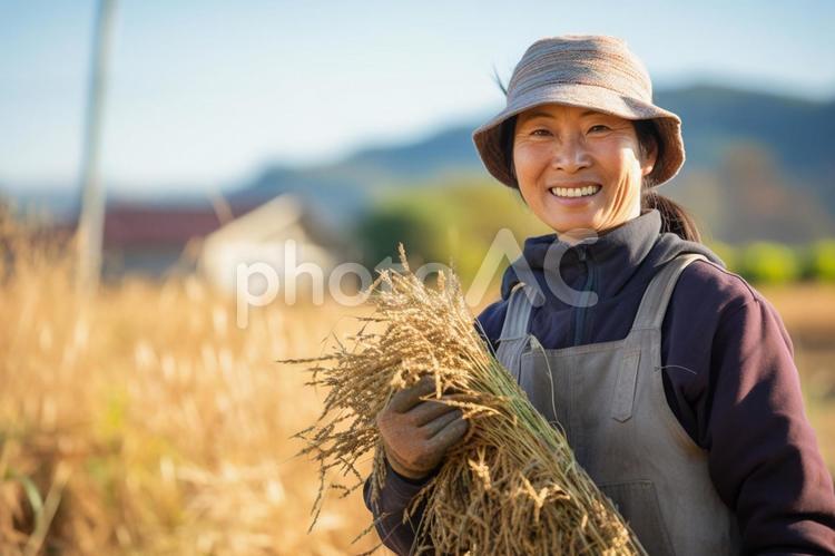 農業とおばさん09　秋の田んぼ 農業,おばさん,おばあちゃんの写真素材
