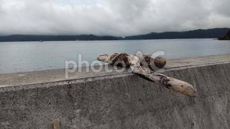 護岸と大きな流木３ 奄美,奄美大島,海の写真素材