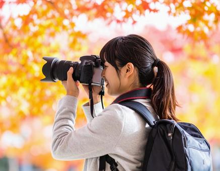 秋の風景を撮影するカメラ女子 秋の風景を撮影するカメラ女子の写真