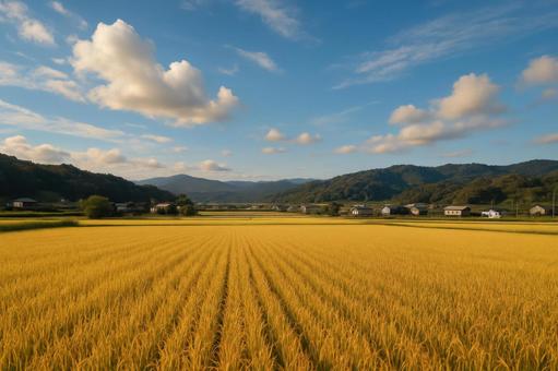 初秋の里山に響く虫の声と風景 初秋の里山に響く虫の声と風景の写真