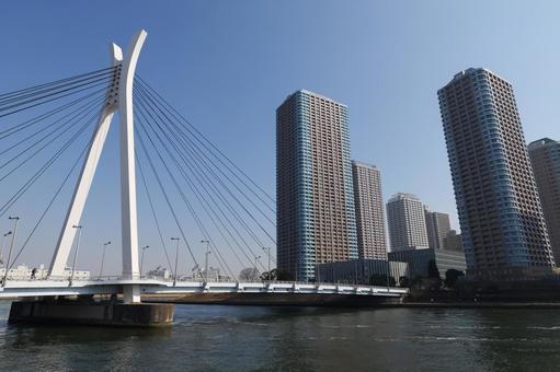中央大橋とタワーマンション 佃島 中央大橋とタワーマンション 佃島 中央大橋,タワーマンション,橋の写真素材