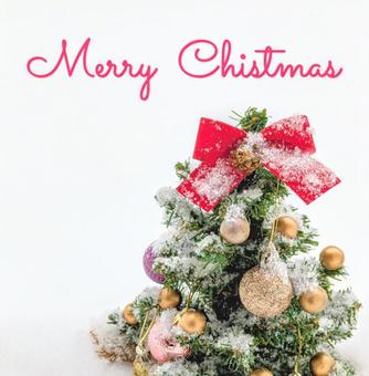 メリークリスマス(文字入り) メリークリスマス(文字入り) クリスマス,クリスマスツリー,冬の写真素材