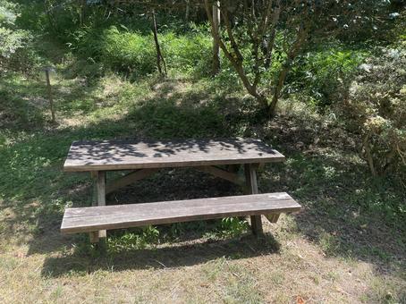 龍ノ口グリーンシャワーの森(岡山県) 龍ノ口グリーンシャワーの森(岡山県)の写真