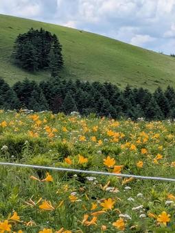 一人散策 一人散策 風景,景色,自然の写真素材