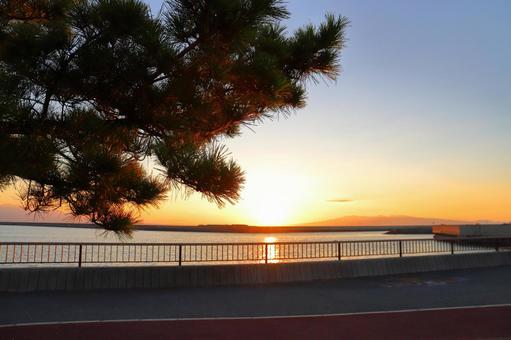 夕焼け空　夕日　海　松の木 夕日,夕焼け,オレンジ色の写真素材