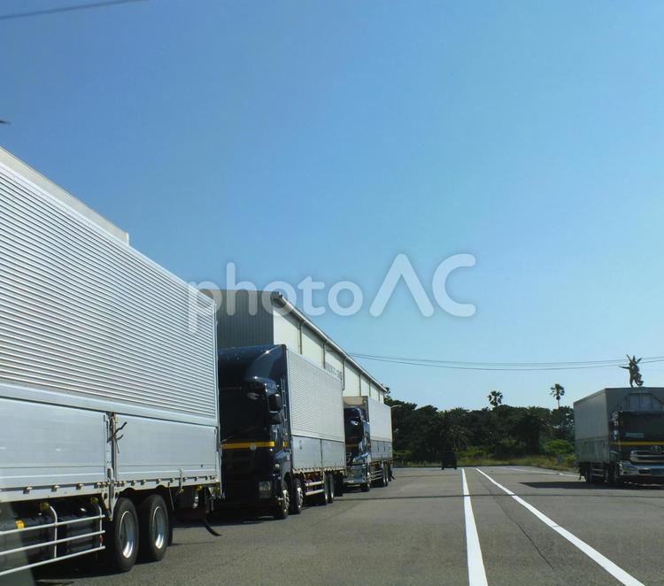 漁港に集まる大型トラックの群れ トラック,大型トラック,冷凍車の写真素材
