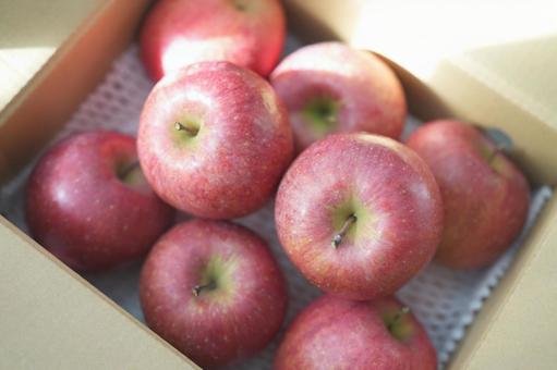 段ボール箱に入った赤リンゴ（たくさん） リンゴ,たくさん,箱詰めの写真素材