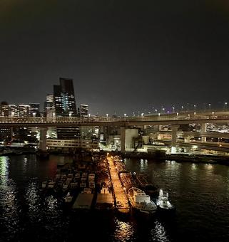 夜のゆりかもめからの景色 夜のゆりかもめからの景色 街,キラキラ,ネオンの写真素材