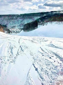 雪原 雪原,雪,冬の写真素材
