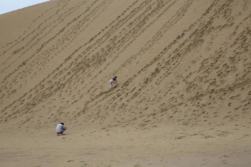 鳥取砂丘の馬の背 鳥取砂丘,馬の背,国立公園の写真素材