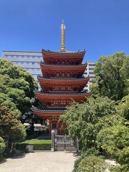 Photo, east temple, fukuoka city hakata district, five-storied pagoda, 