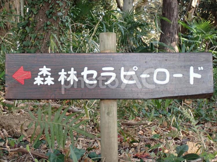 【ハイキング】森林セラピーロードの道標 道標,森林セラピーロード,ハイキングの写真素材