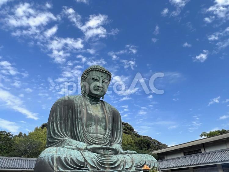 鎌倉の大仏 大仏,寺院,鎌倉の写真素材